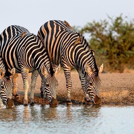Вілла The View Kariba Екстер'єр фото