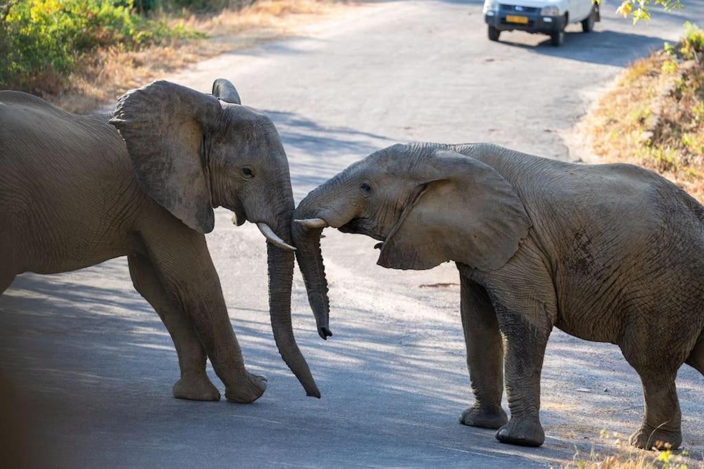 Вілла The View Kariba Екстер'єр фото