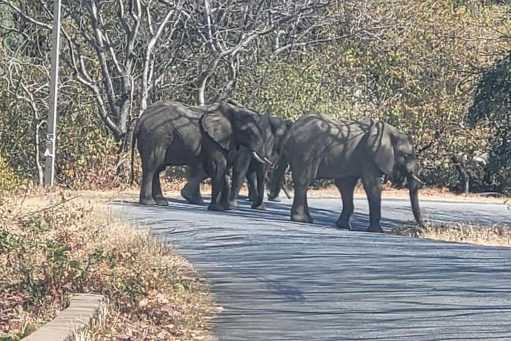 Вілла The View Kariba Екстер'єр фото