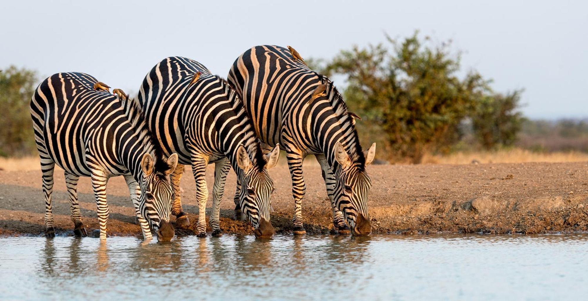 Вілла The View Kariba Екстер'єр фото